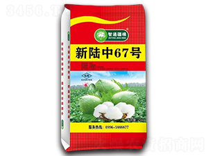 �����67̖-�޻��N��-������