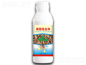 �������x��-�d���_