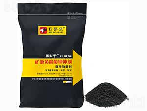 �VԴ�S����⛛_��-��̫��-������