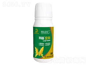 �������a(ch��n)�������~���-�{�ս��S