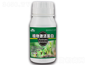 ֲ�Ｄ���-ؐ���S