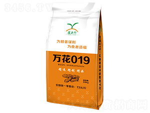 �f��019��20kg��-�����N��-������