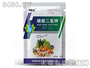 200g��������-�T��(f��)��-��(f��)������