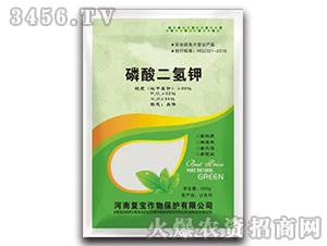 ��������-�͌�����