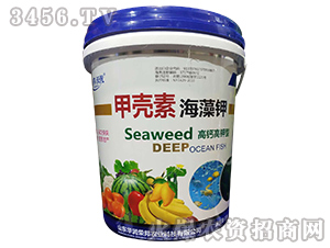 �ך��غ���⛣����}����ͣ�-�A���s��