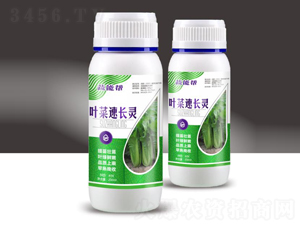 �~�����L�`-���܎�-��M�}