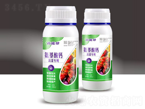 �������}�߲ˌ���-���܎�-��M�}