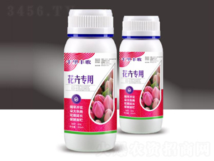 ���܌��÷�-ǧ���S��-��M�}(c��ng)