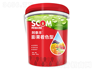 �����ɫ��-��̩�S-˹��ķ