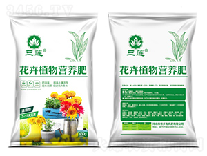 ����ֲ��I(y��ng)�B(y��ng)��-��ɏ-�ڱ���