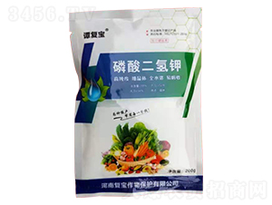 ��������-�T��(f��)��-��(f��)������