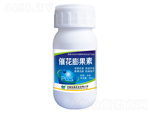 �߻������-���䌍(sh��)�I(y��)