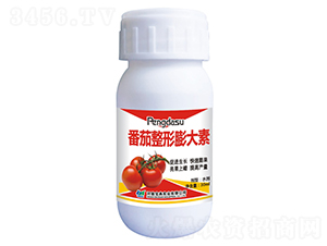 �������������-���䌍(sh��)�I(y��)