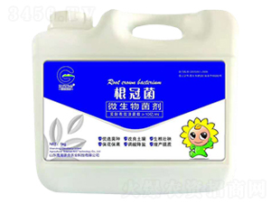 ΢�������-���ھ�-����(li��n)��