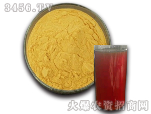 ������-��ʥ