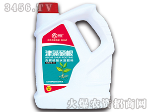 ��������ˮ�ܷ�-����T��-��ʥ