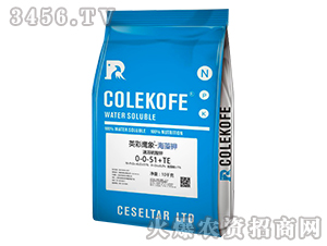 ���������0-0-51+TE-Ӣ������-����