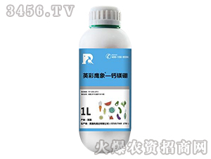 �}�V��-Ӣ������-����