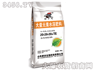 大量元素水溶肥料20-20-20+TE-保豐鳥(niǎo)-肥農(nóng)生物