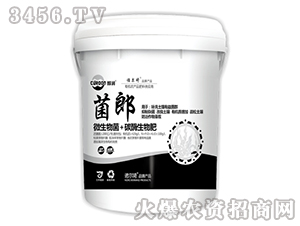 ΢�����+̼ø�����-����-�Z����