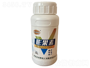 �����-��Ұ�Z�S