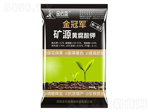 �VԴ�S�����-���܊-����