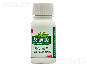 �~���-������-�{���r(n��ng)�I(y��)