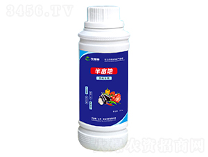 �ѽ������~���-�뮀��