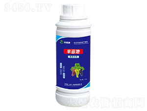 ���ь����~���-�뮀��