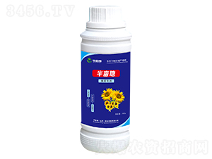 ���������~���-�뮀��