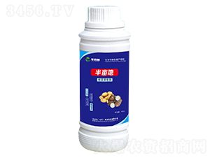 ���o����~���-�뮀��