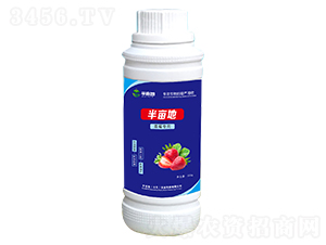 ��ݮ�����~���-�뮀��