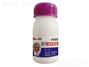 ���ӷ����˻���-������A