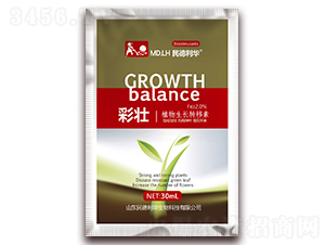 ֲ�����L�D(zhu��n)����-�ʉ�-������A