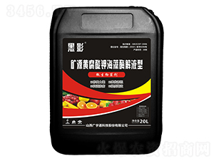 �VԴ�S����⛺���ø��Һ��΢�������-��Ӱ-�V��ͨ