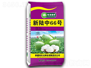 �����66̖�޻��N��-��ͨ����-���SԪ