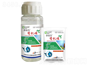 �r(n��ng)���ЙC(j��)��-�r(n��ng)���ټ�-�r(n��ng)������