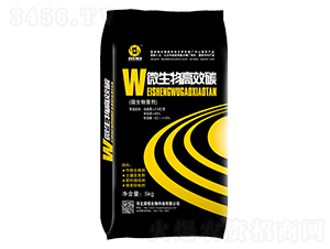 ΢�������-�s��ʘI(y��)