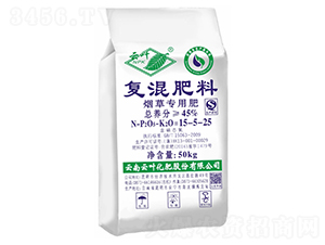 ���݌��Ïͻ����-���~-���~����