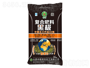 �ͺϷ���-�ژO-�x��