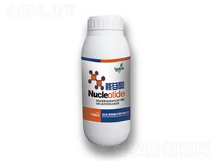 ������-�ﲩ��-�|����(r��n)��