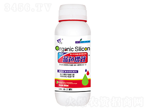 500ml�{(l��n)ɫ��Ч-���SԴ