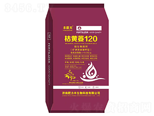 ���Sή120-�S����-���SԪ