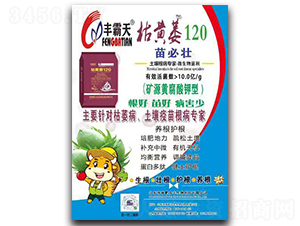 ���Sή120����퓡�-�S����-���SԪ