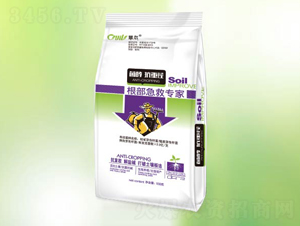 �������Ȍ���-�䠖-�|������