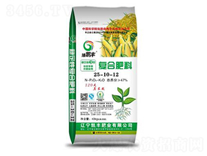 �ͺϷ���25-10-12-��P�S-�P�S�ʘI(y��)