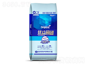 �����ЙC(j��)��-��(y��u)����F(tu��n)-�����r(n��ng)�I(y��)