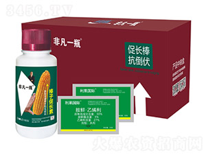 玉米棒子促長素（組合裝）-非凡一瓶-利果國際