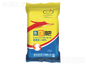 BB肥16-16-16-金飛-世龍