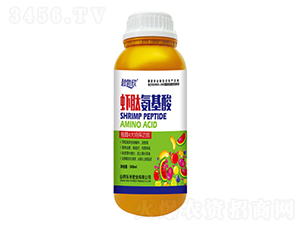 �r�İ�����-�̲���-���̷ʘI(y��)